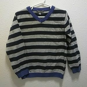 Pumpkin Patch V-Neck Cotton Sweater